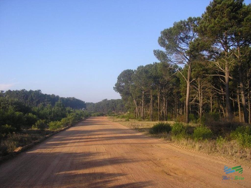 Terreno en venta en Chihuahua, Punta Ballena.