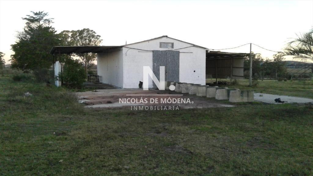 Campo próximo a ruta 12