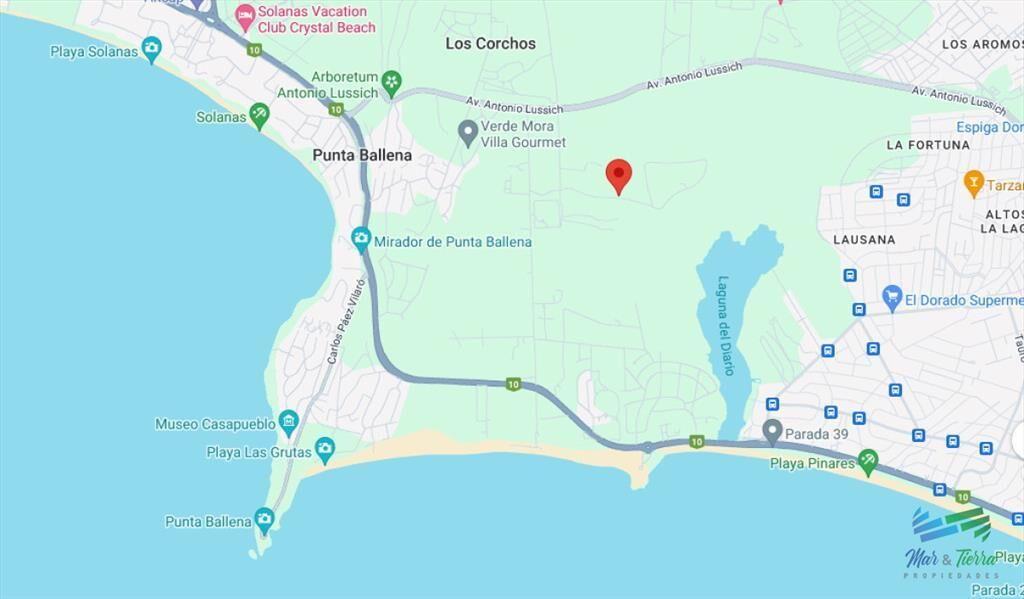 Venta de terreno de 4.000 m2 en las Silvias Punta