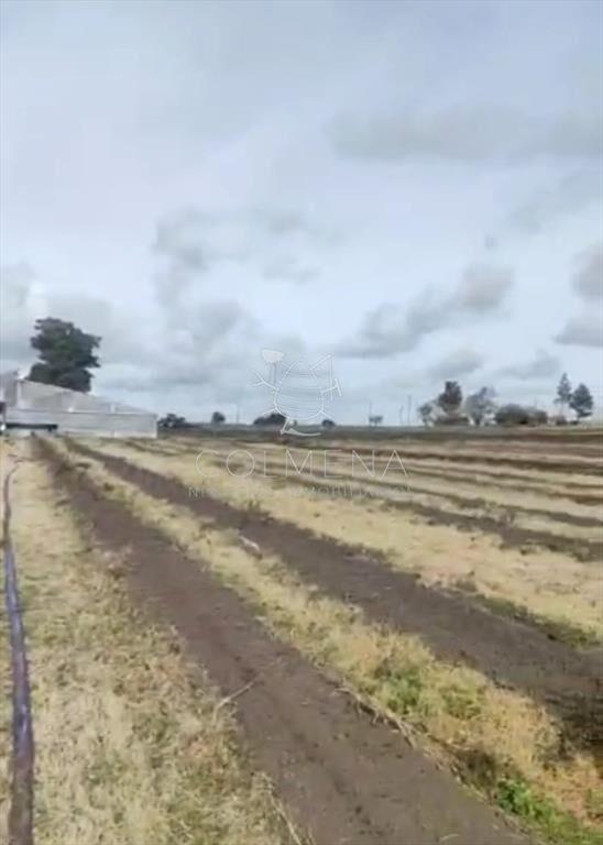 Campo en Canelones