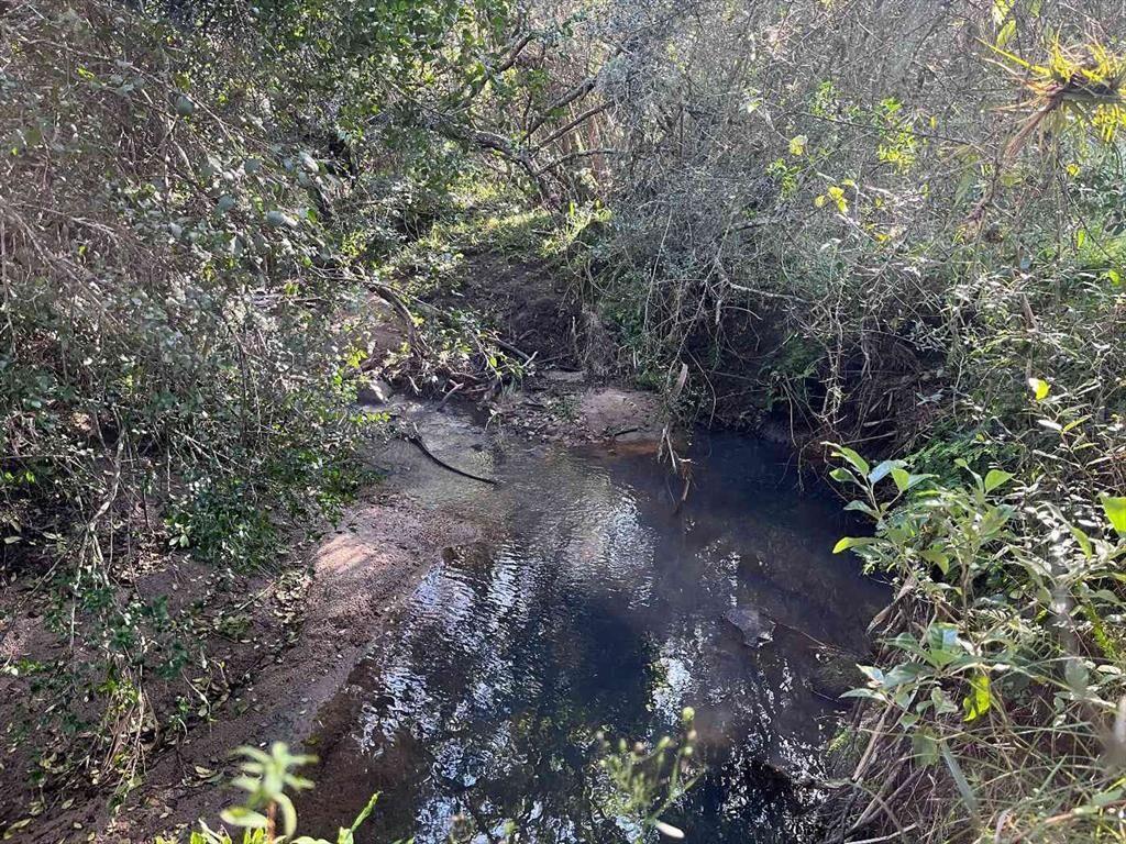 Campo en venta al norte de Garzón - Buen acceso