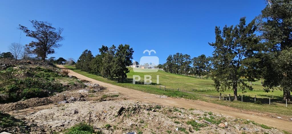 Terrenos en venta frente a Club de Golf de Punta