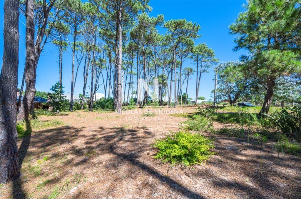 Vende terreno en Laguna Blanca.