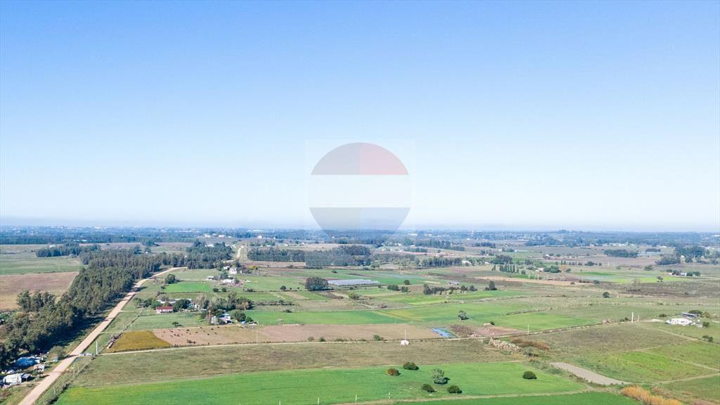 VENTA DE CAMPO 4 HECTAREAS CON TAJAMAR RUTA 75