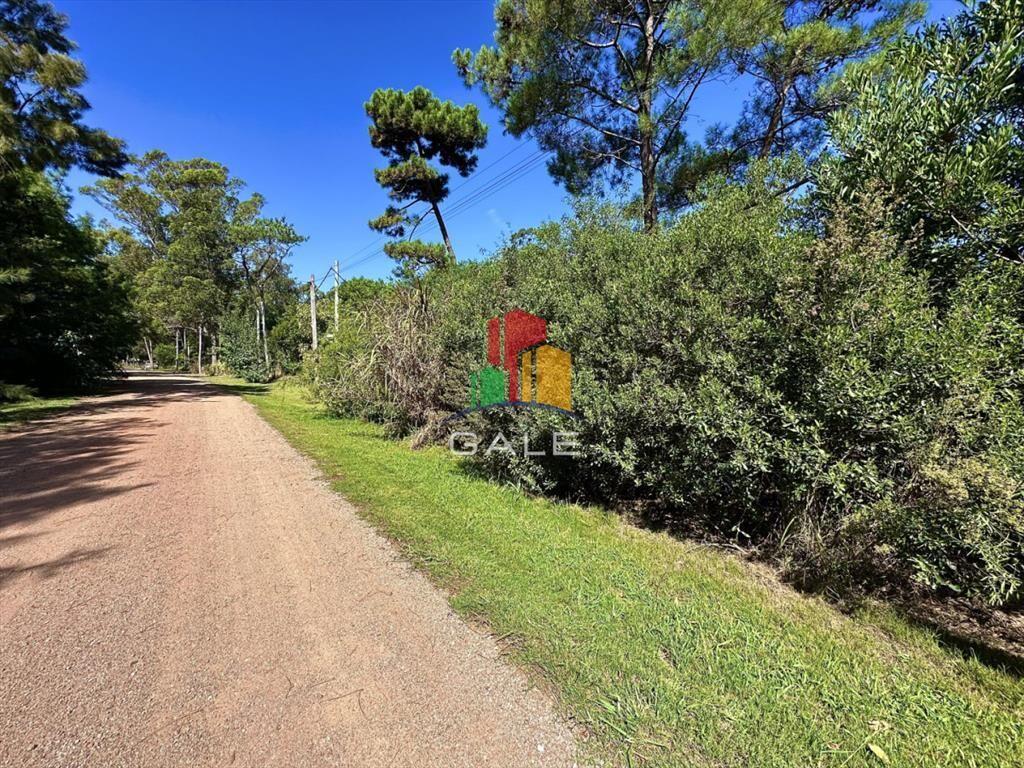 Terreno en Ocean Park, Punta Ballena
