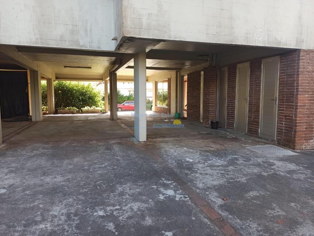 Cálido apartamento zona de jardines y a metros