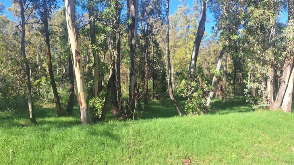 Terreno en venta Bella Vista Piriápolis –Oportunidad!1800...