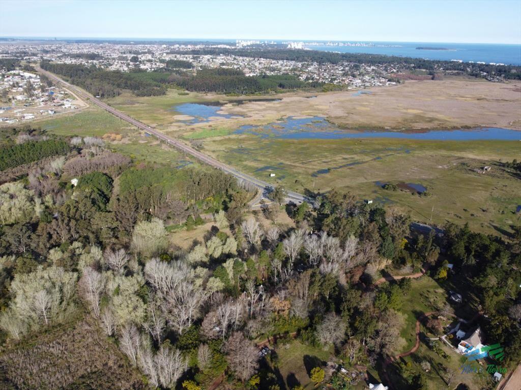 Venta de chacra en Camino Lussich Punta Ballena