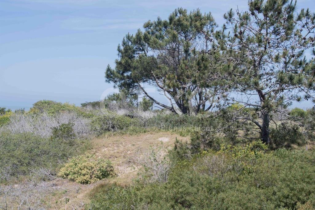 Terreno en Venta San Anotnio Rocha...