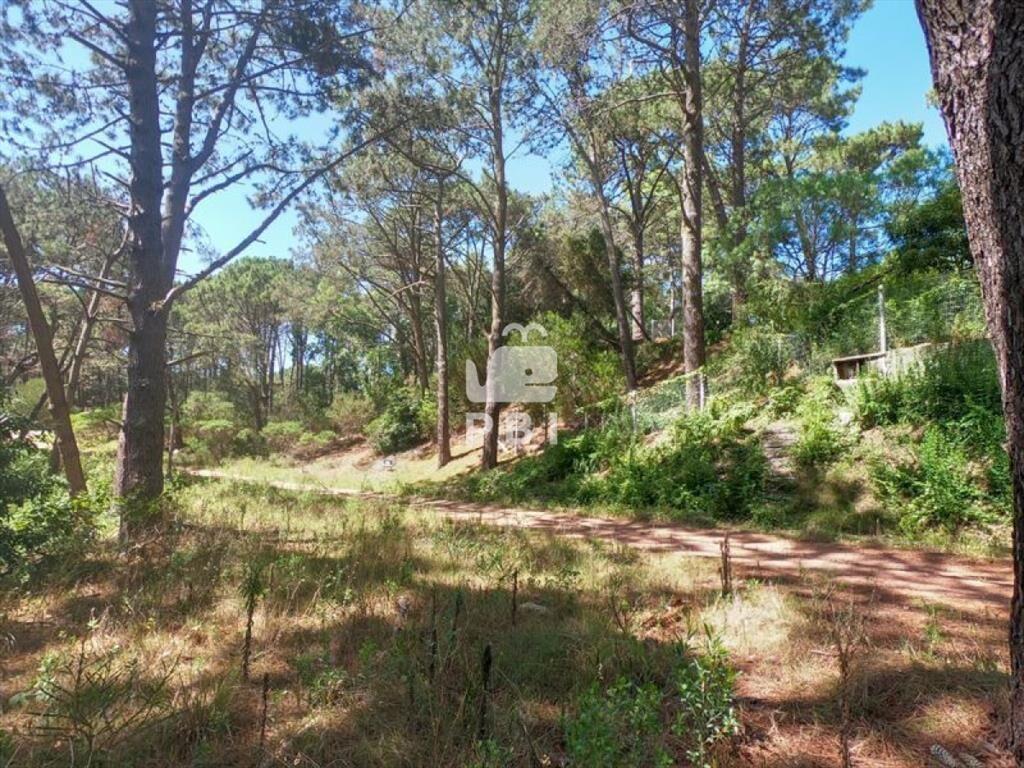 Terreno en venta Club Del Lago - Ref : PBI1367