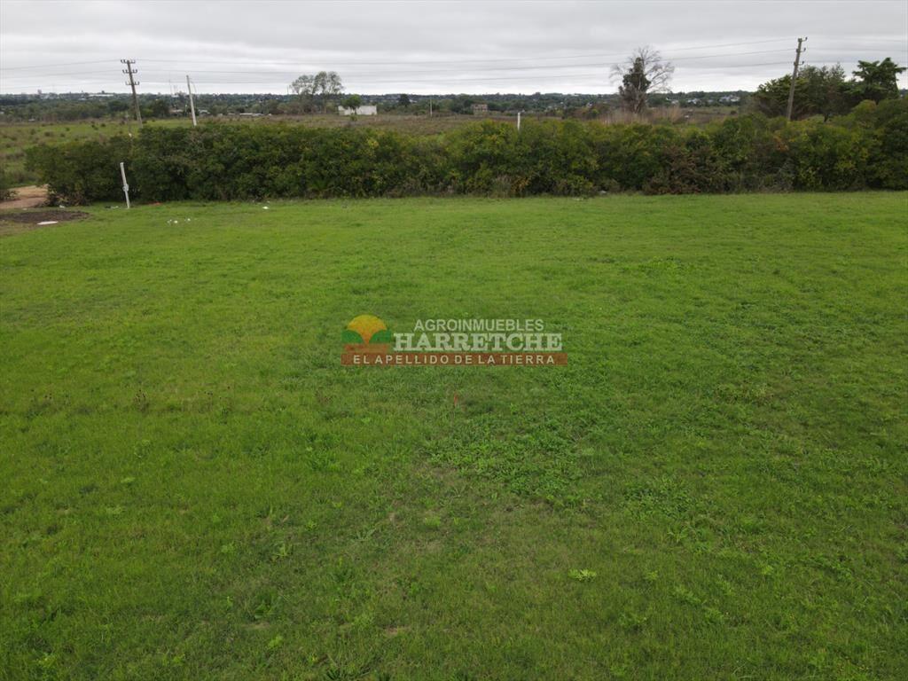 Terreno en Progreso, 360 m2 en Jardín de los Ingleses (7)