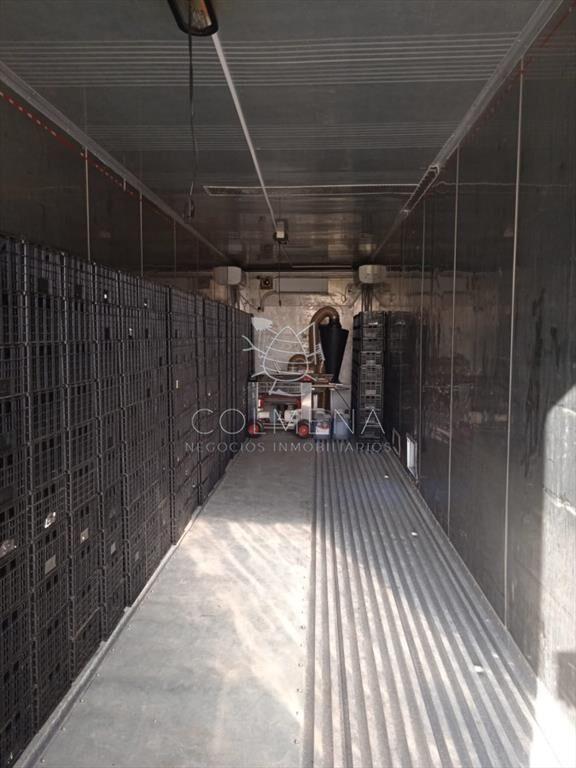 Excelente OPORTUNIDAD de inversión Campo 6,7Has