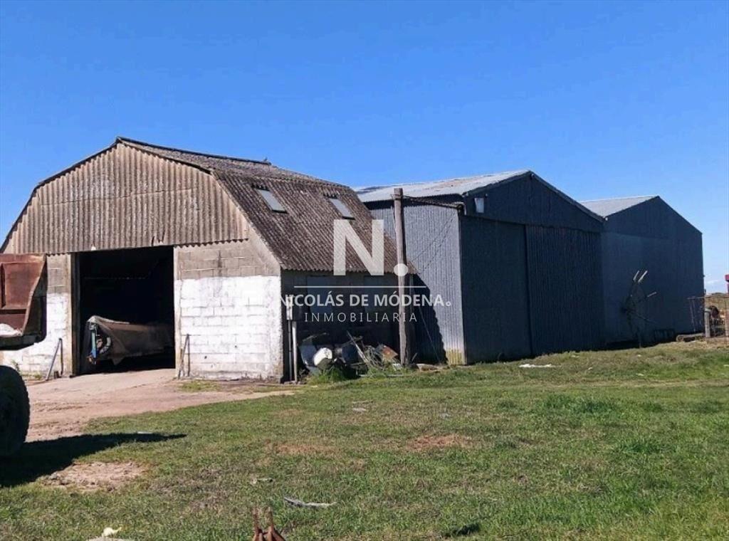 Vende Campo de 2 padrones en Treinta y tres.