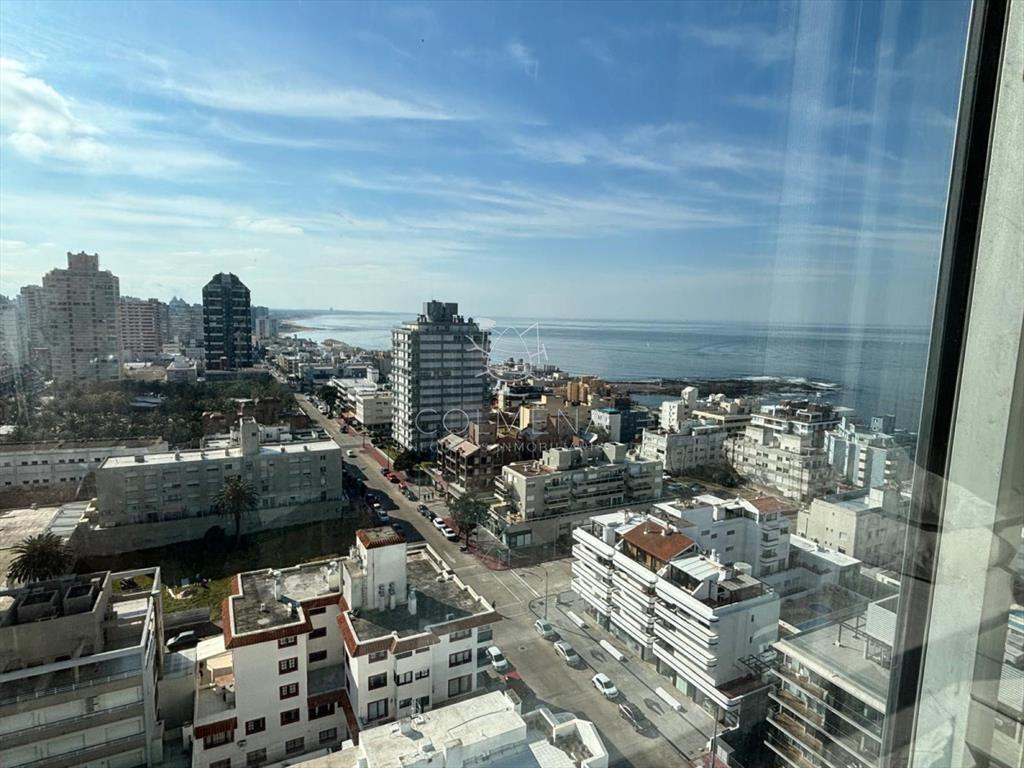 Alquiler de verano