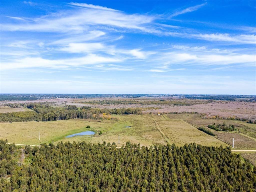 Venta de campo con 6 Ha. en Rincón de Pando