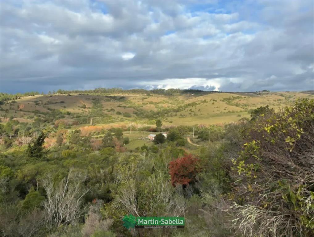 Campo en Venta - Lavalleja