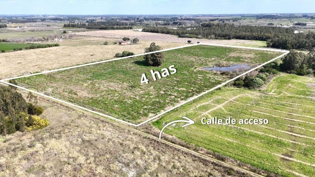 Vendo campo terreno 4,4 hectáreas c tajamar Sauce