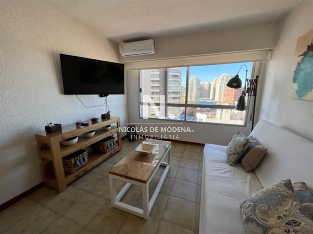 Hermoso apartamento 1 dormitorio con VISTA!