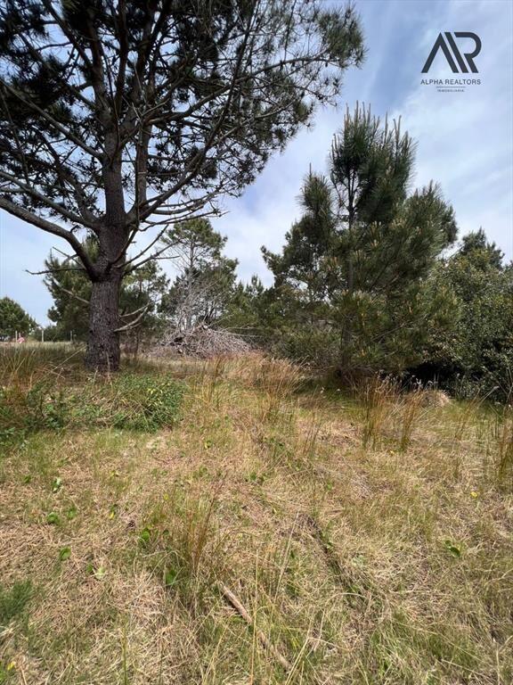 Terreno en venta de 510m2 ubicado en Punta del Diablo