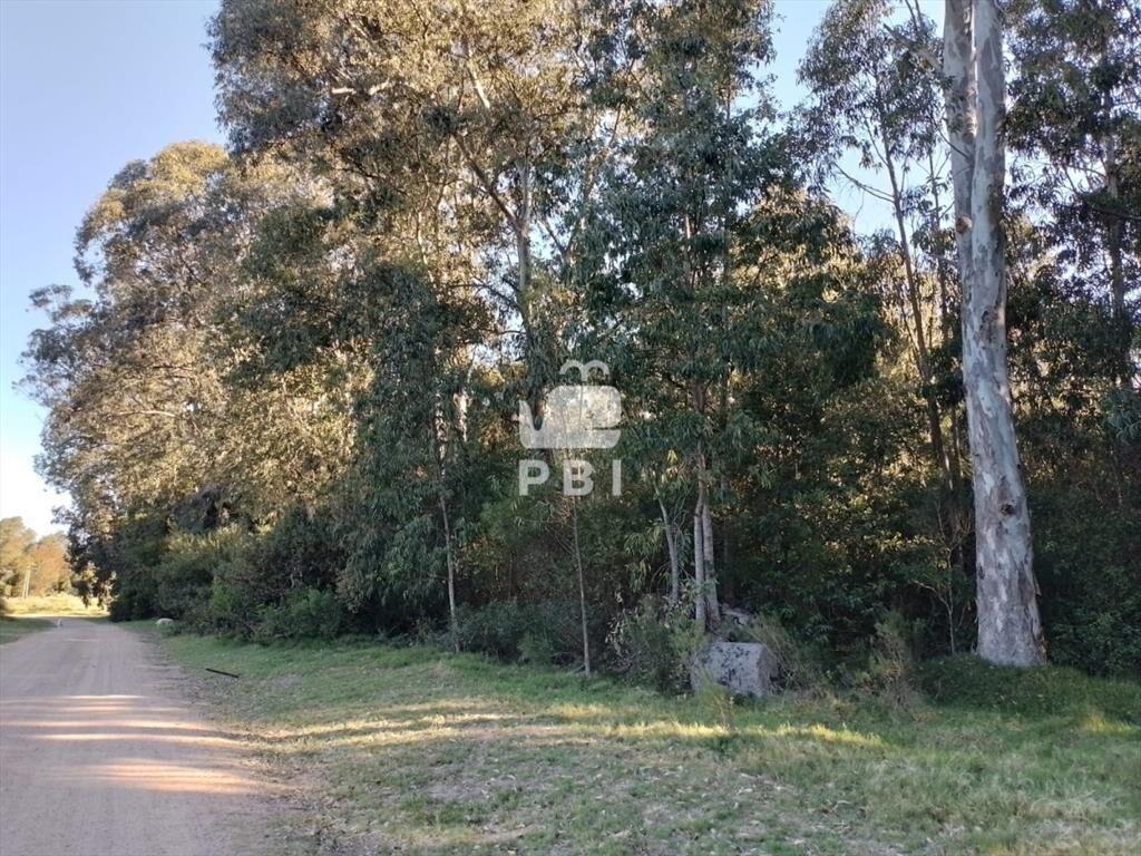 Venta de lote en Sauce de Portezuelo - Ref :