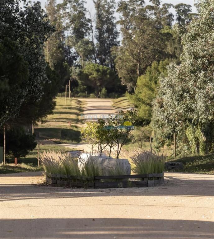 TERRENO EN DON MIGUEL
