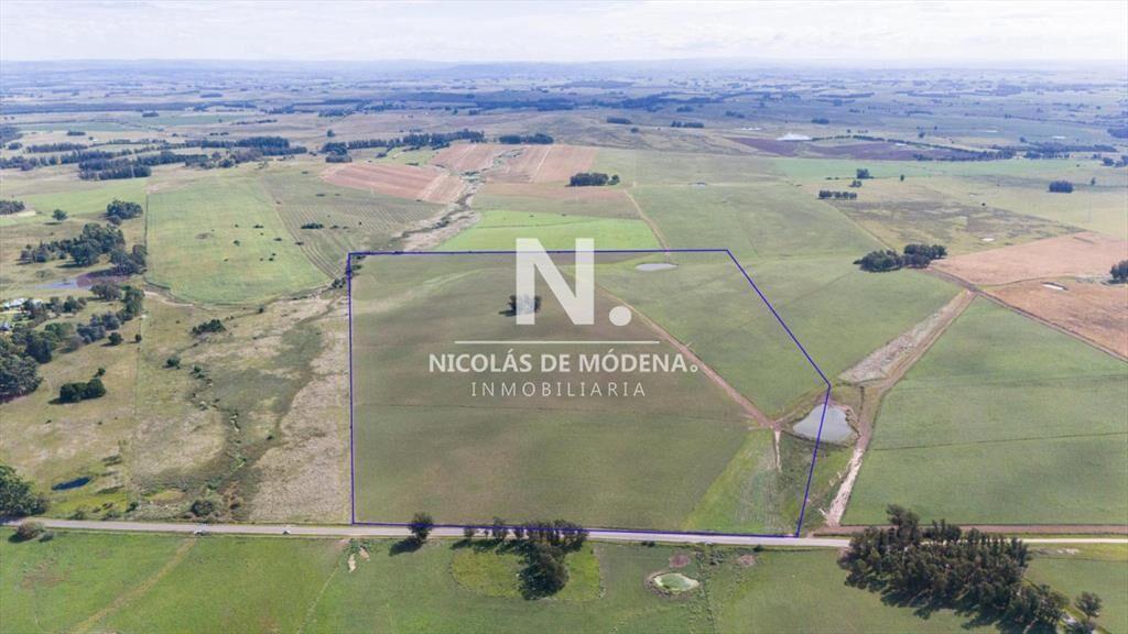 Campo de 42 Hectáreas con Alto Potencial de y -