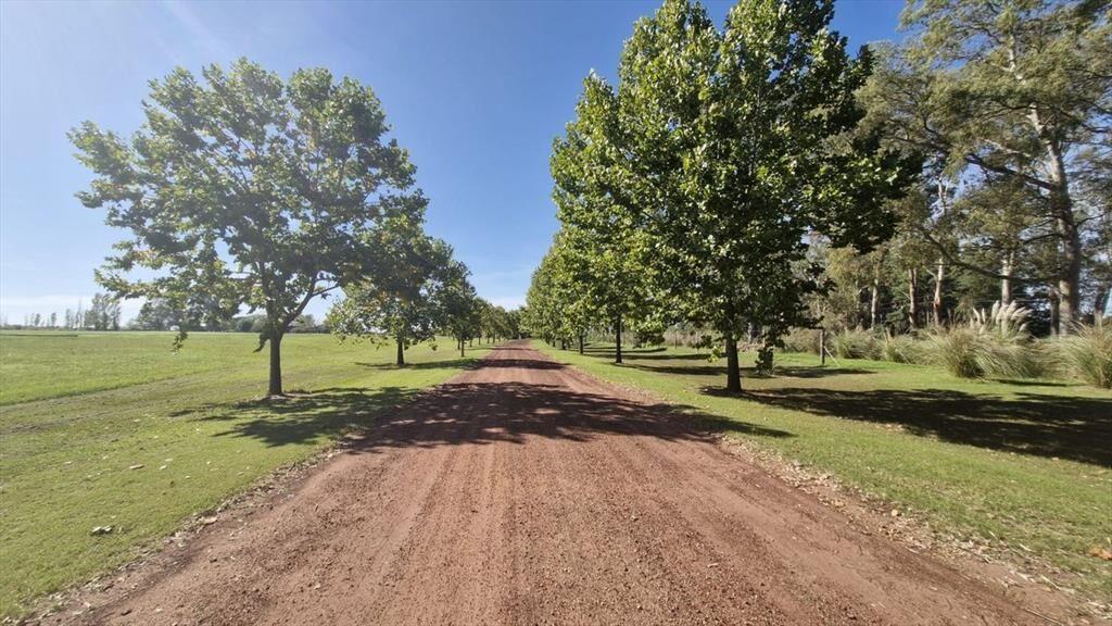 Venta Lote de 3760m2 Barrio privado Carmelo Golf