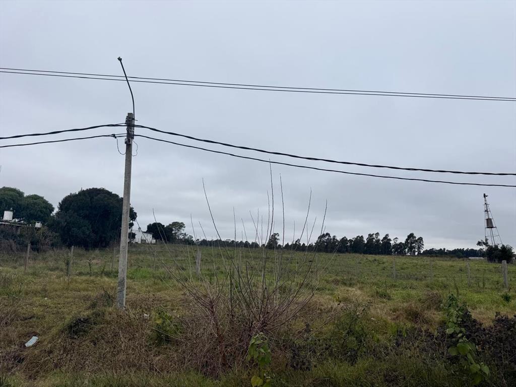 Venta Chacra Camino Gori 36400 metros