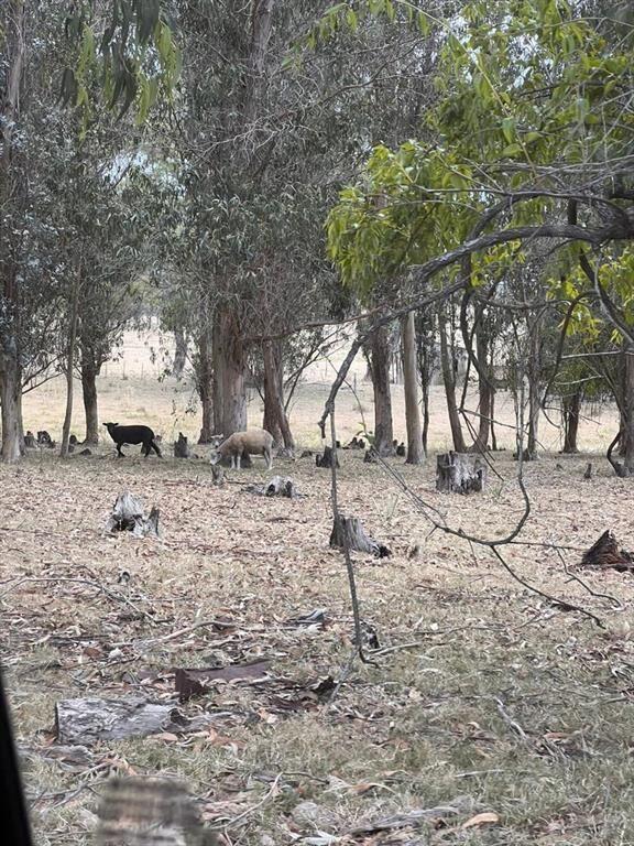 Chacra de 10 ha en venta en Garzón a 15 minutos de José Ign