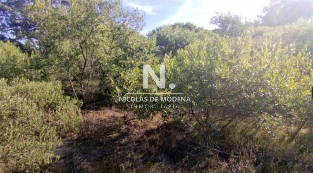 Vende terreno en Club del Lago Punta Ballena