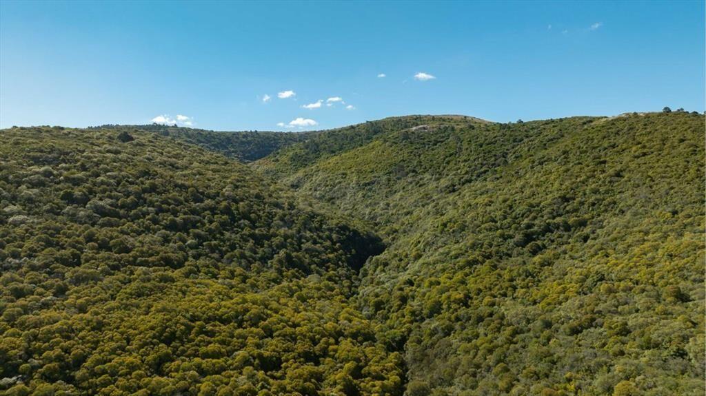 Campo en Venta en Sierra de las Ánimas, Ladera sur