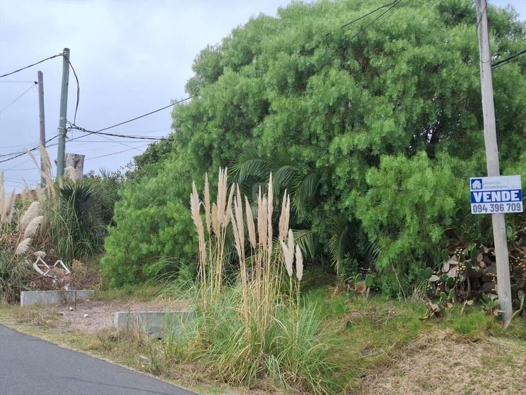 Oportunidad para inversores: Venta de terreno en Solymar