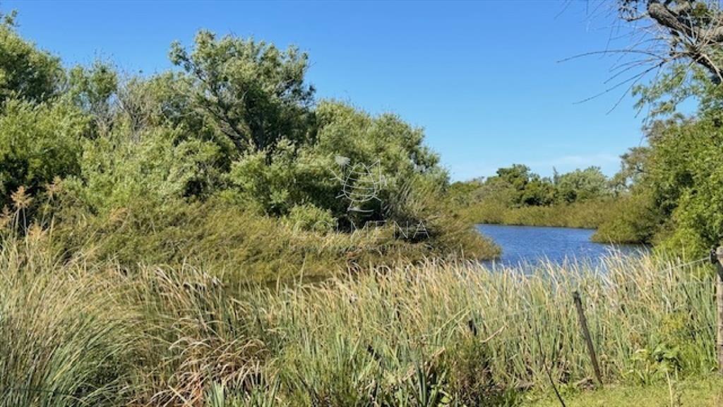 Se venden 2 chacras juntas o separadas en Paso de