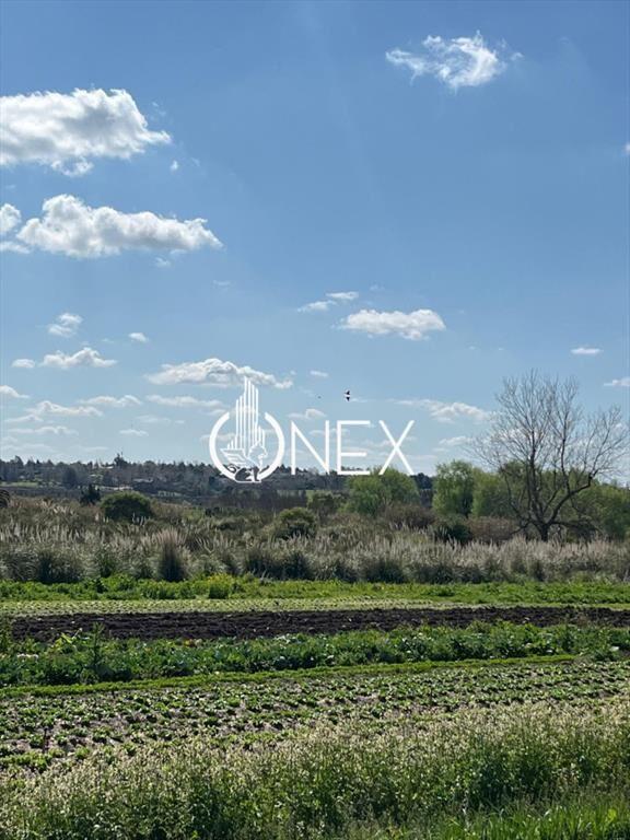 SE VENDE TERRENO BARRIOS PRIVADOS CANELONES. A DE