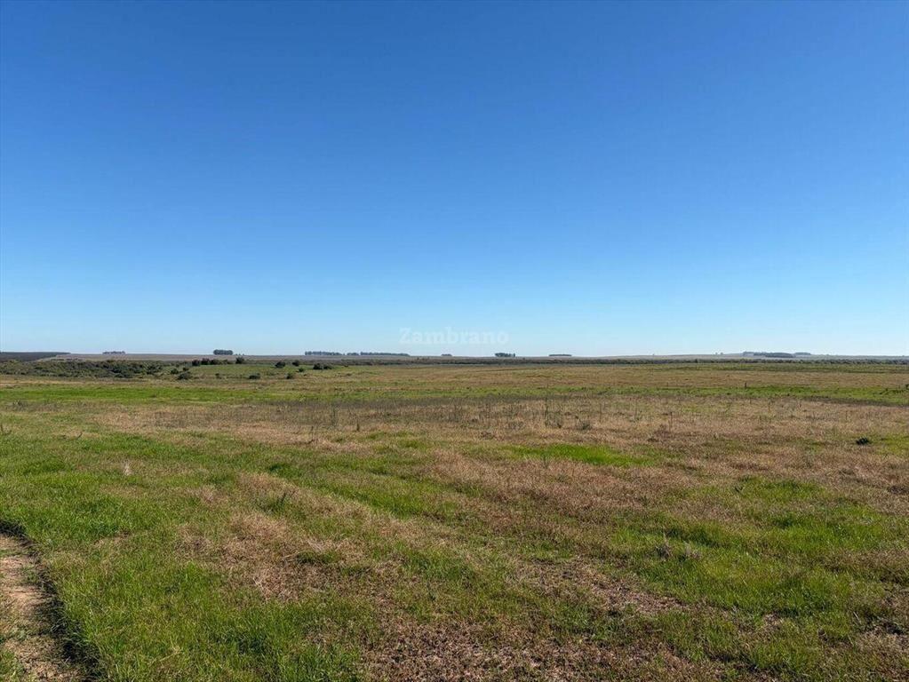 Venta Campo Durazno