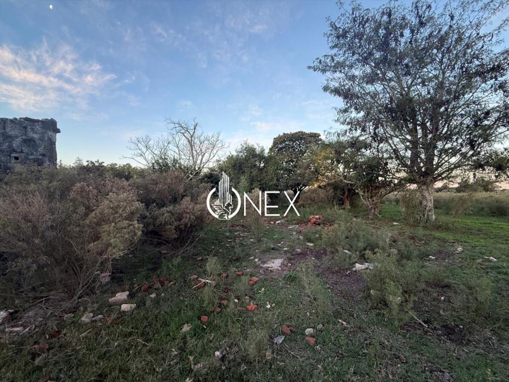 Se vende chacra en Sarandí de la china en
