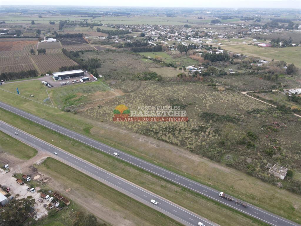 Terreno en venta 37.988 m2 suburbanos sobre ruta 5, logisti