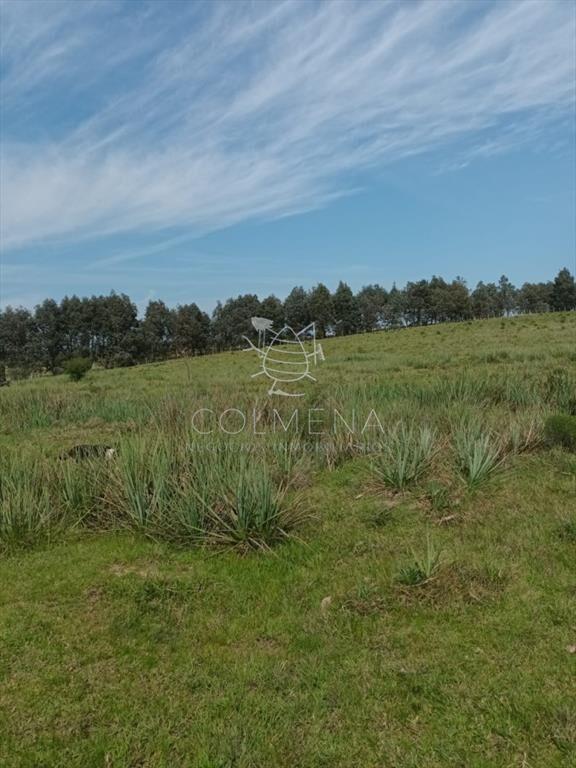 Campo en paraje Jose Ignacio cerca de la ruta 9