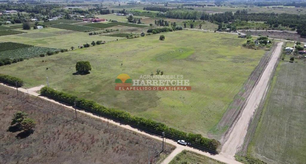 Terrenos en venta en Progreso, fraccionamiento de
