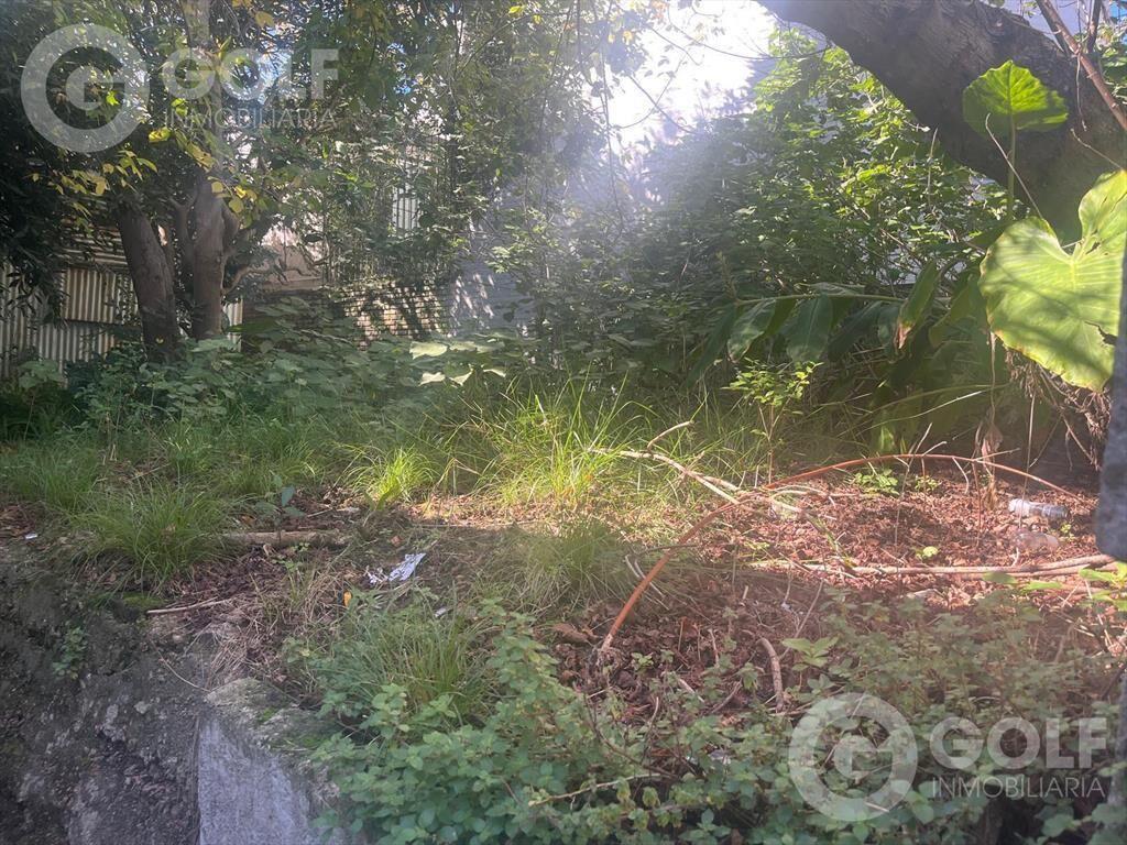 Venta de terreno en Punta Carretas