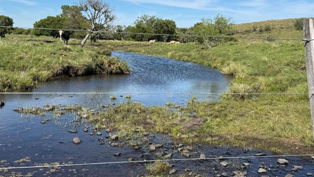 VENTA DE CAMPO GANADERO – 694 HAS. EN RIO NEGRO
