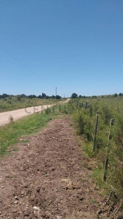 Campo Alambrado en San Jacinto, C/ Gran Tajamar, Zona alt...