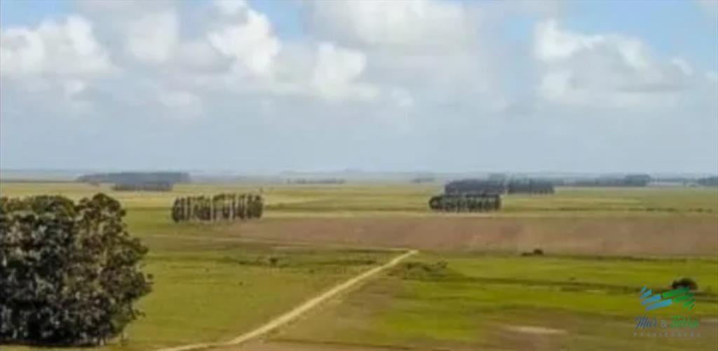 Excelente Estancia Completa Agrícola-Ganadera, y