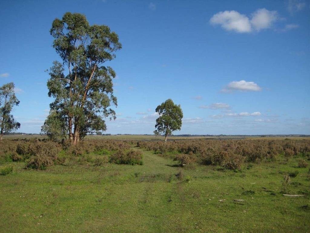 Venta de campo 76Has con costa
