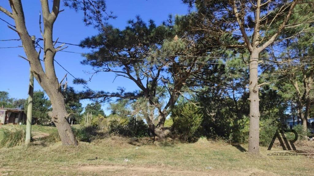 Terreno en venta de 592m2 ubicado en Punta del Diablo