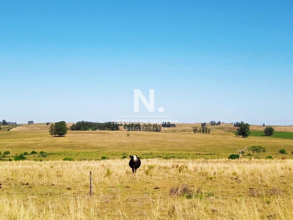 Campo en Jose Ignacio,
