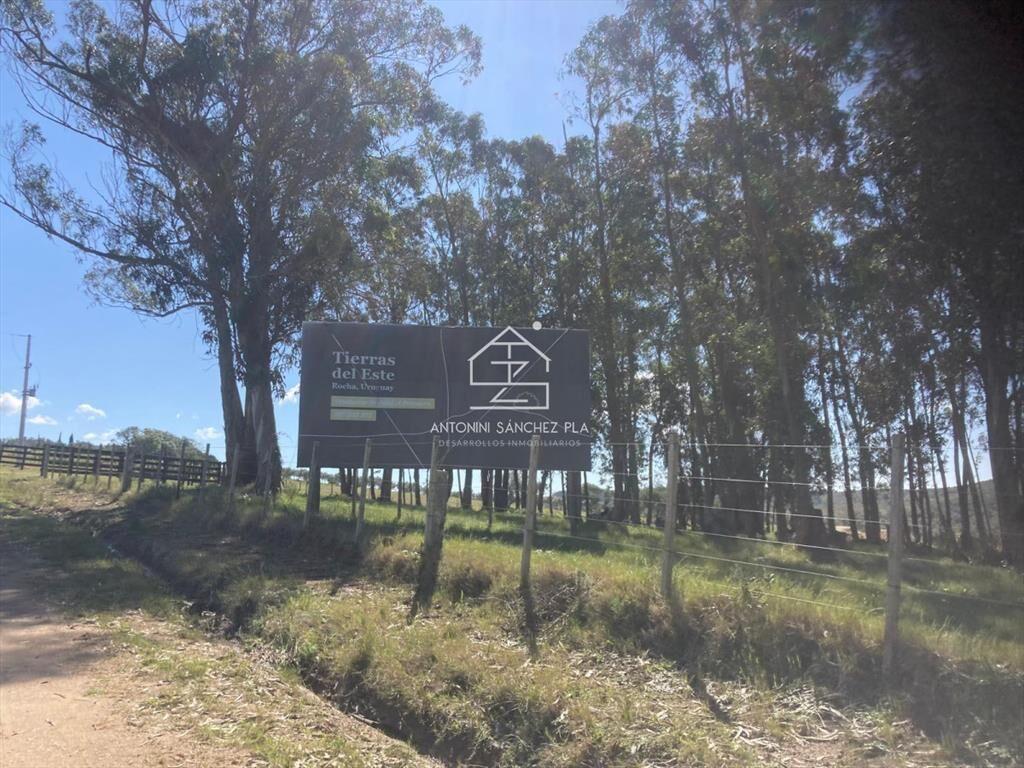 Campo Cerro Aspero Rocha
