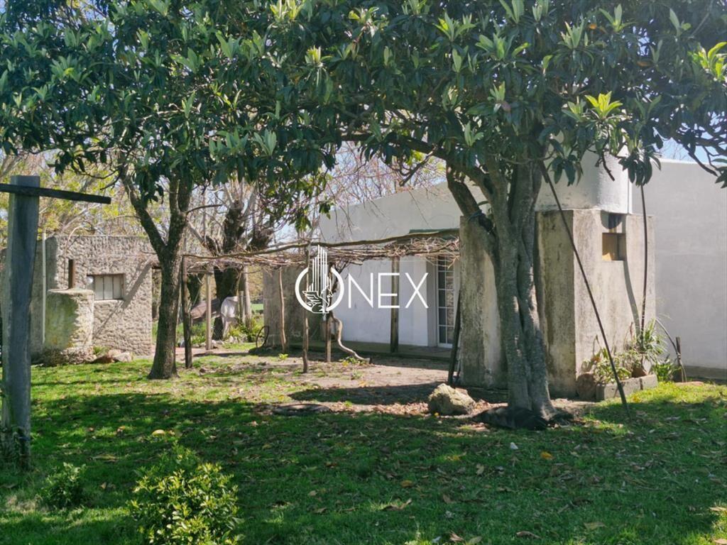 Campo en venta en Arroyo Negro 120 hectáreas