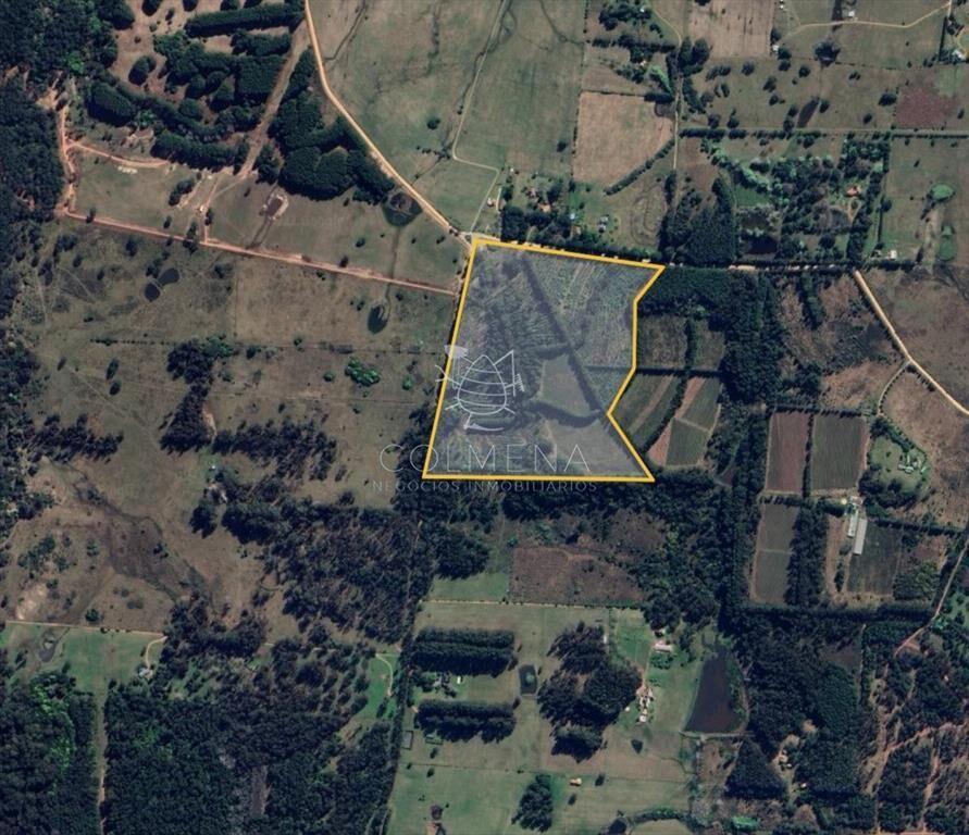Venta chacra zona La Pataia, Punta Ballena