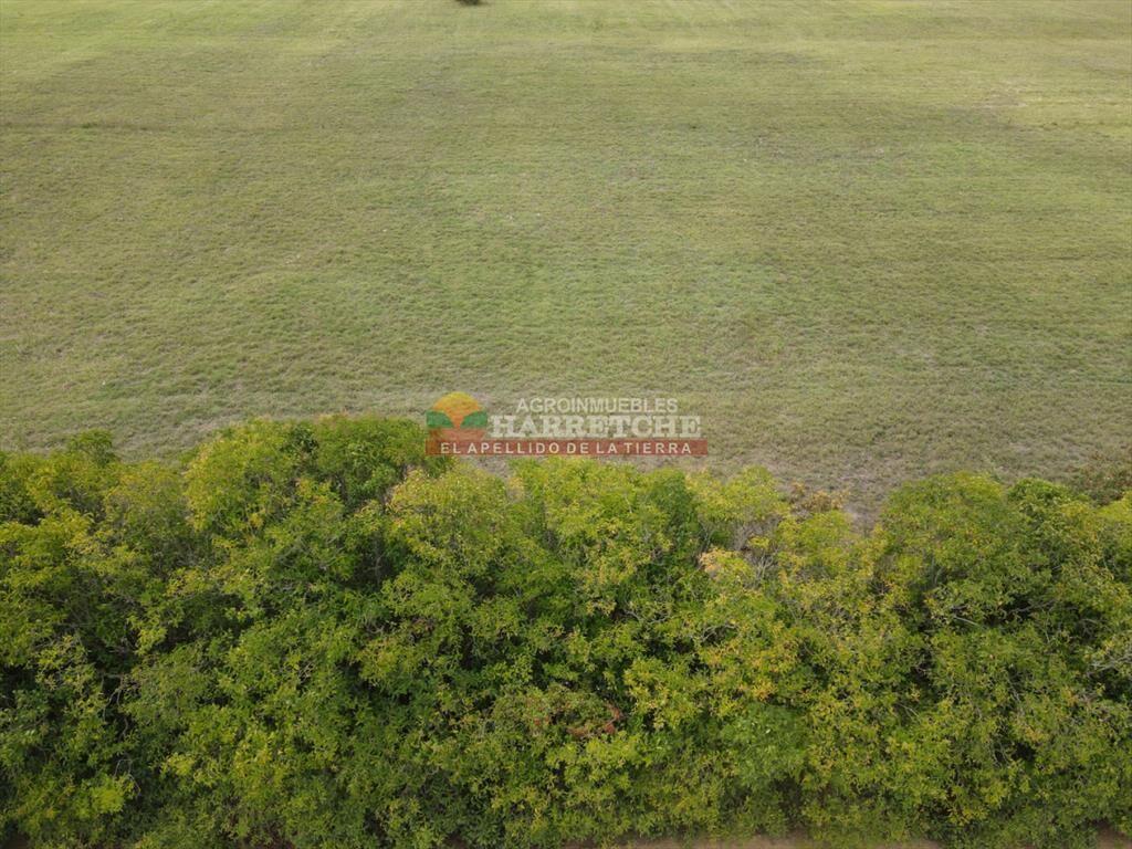 Terreno en Progreso, 360 m2 en Jardín de los (4)